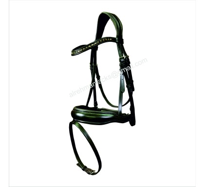 Leather Bridle 